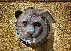 Medallions of lions fountain in the city