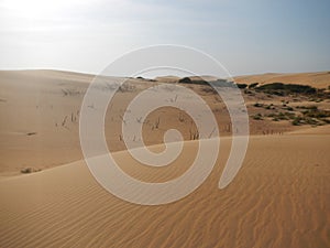 The Medanos de Coro Park