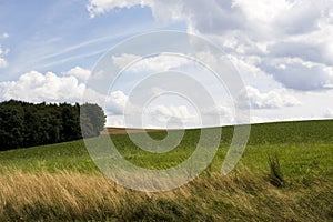 Meddow with a blue sky