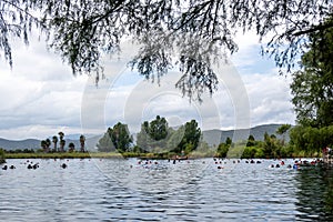 Media Luna Oasis - Captivating Waterfront Beauty in San Luis Potosi, Mexico photo