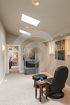 Media room in contemporary upscale home interior with vaulted ceiling, skylights, leather lounge chair, side table and television