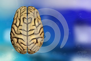 Medical 3D illustration - human brain, cerebrum research concept - highly detailed hi-tech background