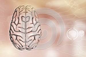 Medical 3D illustration - human brain, nerve development concept - very detailed hi-tech texture or background