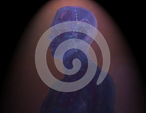 Medical acupuncture model human