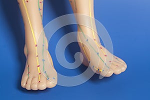 Medical acupuncture model of human feet on blue