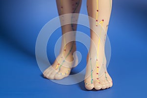 Medical acupuncture model of human feet on blue