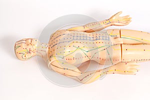 Medical acupuncture model of human