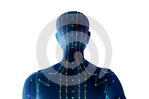Medical acupuncture model of human on white