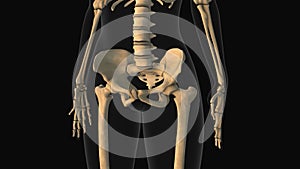 Medical animation of the hip bone pain photo