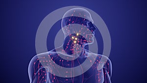 Medical Animation for Lymphoma Staging and Prognosis