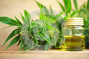 Medical cannabis oil extract and hemp plant