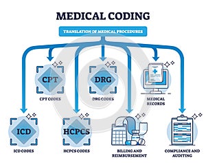 Medical coding and translation of medicine health procedures outline diagram