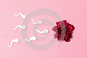 Medical concept of artificial insemination. In vitro fertilization. Red peony flower with plastic sperm forms