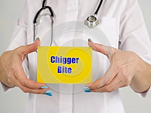 Medical concept about Chigger Bite with sign on the piece of paper