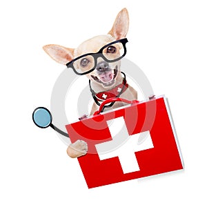 Medical doctor dog