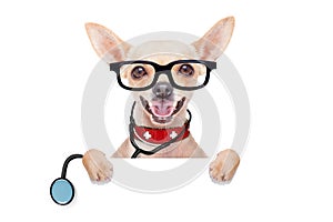 Medical doctor dog