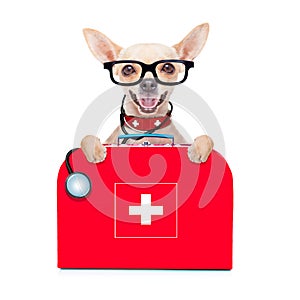 Medical doctor dog