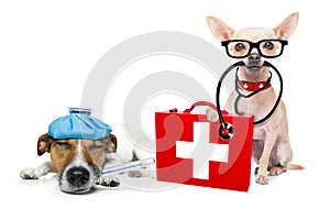 Medical doctor sick and ill dogs