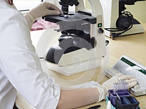 Medical doctor in a white coat doing a blood test on the microscope, close-up, medical