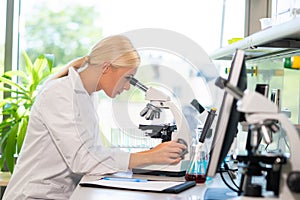 Medical doctor working in research lab. Science assistant making experiments. Laboratory tools: microscope, test tubes