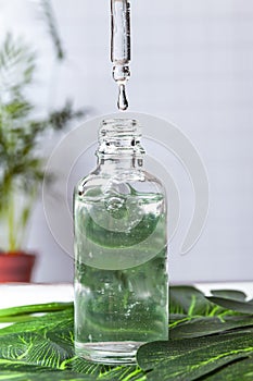 A medical dropper with liquid and a drop falling over a bottle of essence, serum or care oil in the bathroom against a palm tree.