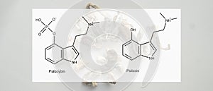 .the medical effects of psilocybin and psilocin on the psychological and physical health of people. Legalization of the photo