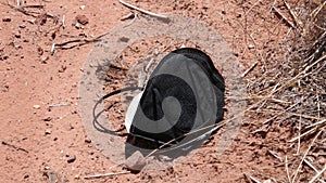 Medical face mask discarded on desert ground with ant crawling around