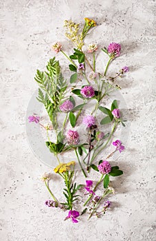 Medical flowers herbs, alternative medicine. clover milfoil tansy rosebay