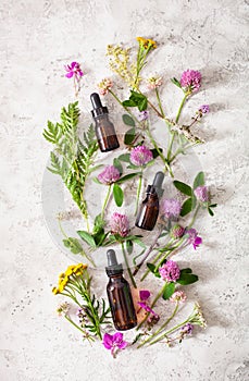 Medical flowers herbs essential oils in bottles. alternative medicine. clover milfoil tansy rosebay