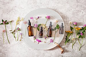 Medical flowers herbs essential oils in bottles. alternative medicine. clover milfoil tansy rosebay photo