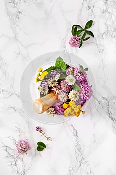 medical flowers herbs in mortar, alternative medicine. clover milfoil tansy rosebay