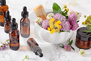 Medical flowers herbs in mortar essential oils in bottles. alternative medicine. clover milfoil tansy rosebay