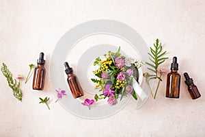 Medical flowers herbs in mortar essential oils in bottles. alternative medicine. clover milfoil tansy rosebay photo