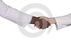 Medical handshake on white background.