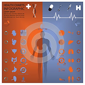 Medical And Health Infographic Infochart