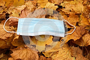 Medical face mask on colorful yellow autumn maple leafs coronavirus covid-19 epidemic continues wallpaper