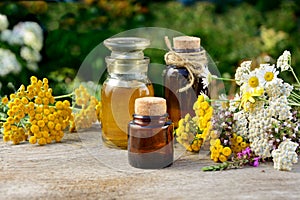 Medical herbs with bottles of oil and tinctures on a background of the garden