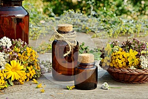 Medical herbs and bottles with tinctures