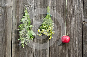 Medical herbs flowers and red apple on wall