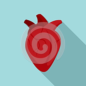 Medical human heart icon, flat style