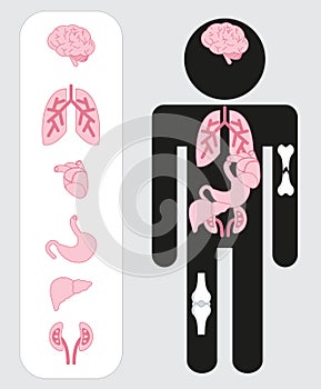 Medical human organs icon set with body.