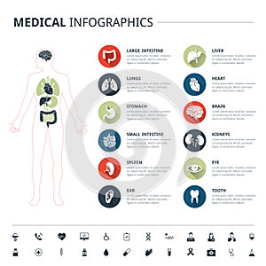 Medical human organs and medical icon set with human body on white background