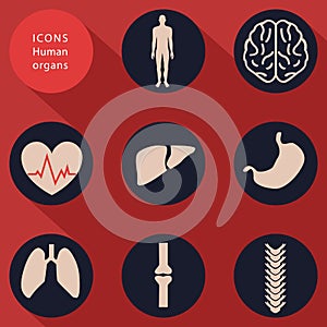 Medical icons, human bodies, flat design, vector