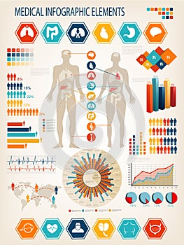 Medical Infographic set with charts and other elements. Human body with internal organs