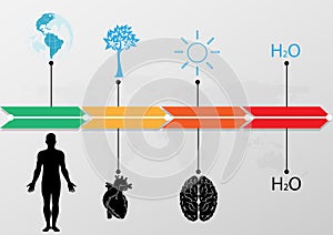 Medical Infographic set,world infographic timeline. illustration