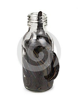 Medical leeches in a glass bottle