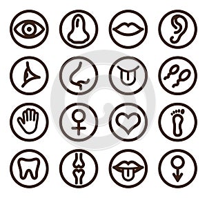 Medical line icon set for web and mobile