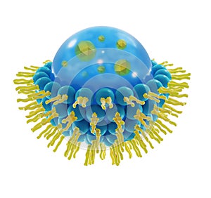 Liposome structure cell 3D rendering