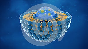 Liposome structure cell 3D rendering