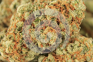 Medical marijuana bud closeup, cannabis macro